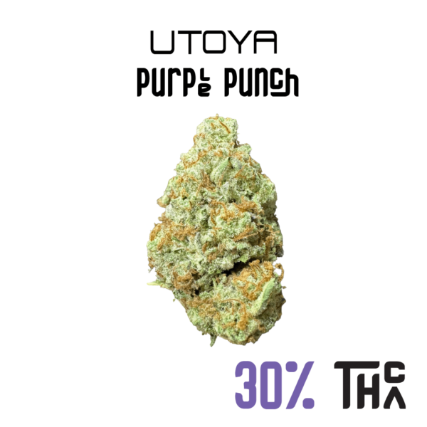 Purple Punch Thca Flower.png