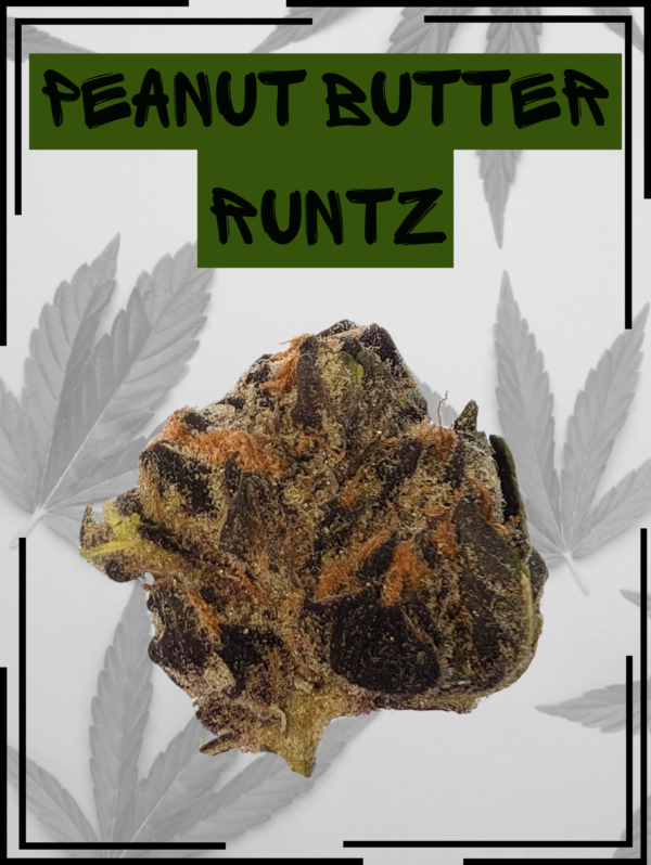 Peanut Butter Runtz Front Bud 2 2.png