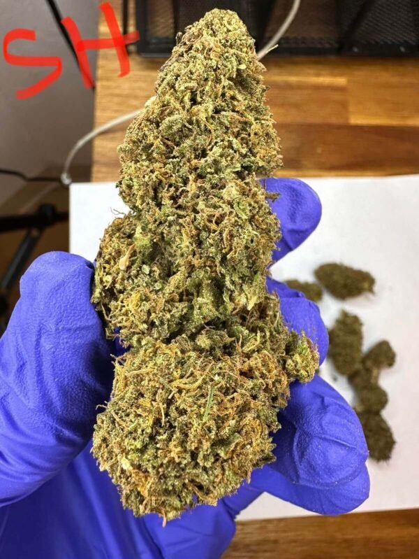 Sour Hawaiian 1.jpg