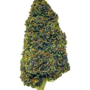 Legendary Platinum Og Cbd Hemp Flower Bud Ihf Pic.jpg