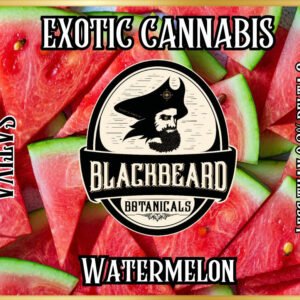 Watermelon.jpg