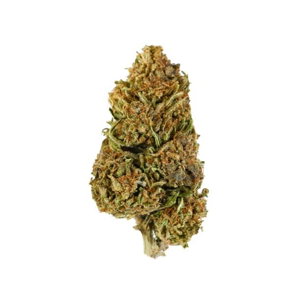 2023 Pineapple Sugar Cookies Single Nug 1.jpg