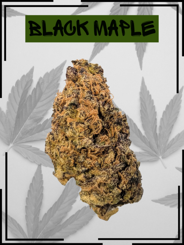 Black Maple Fat Packs Farm 1 Single Bud 1.png