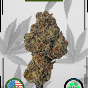 Candy Rain Aaaa Front 2 1.png