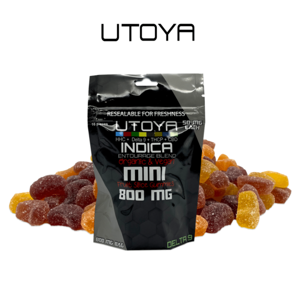 Delta 9 Mini Fruit Gummy Bag.png