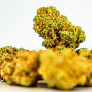 G41 Nugs 1 510x638 1.jpg