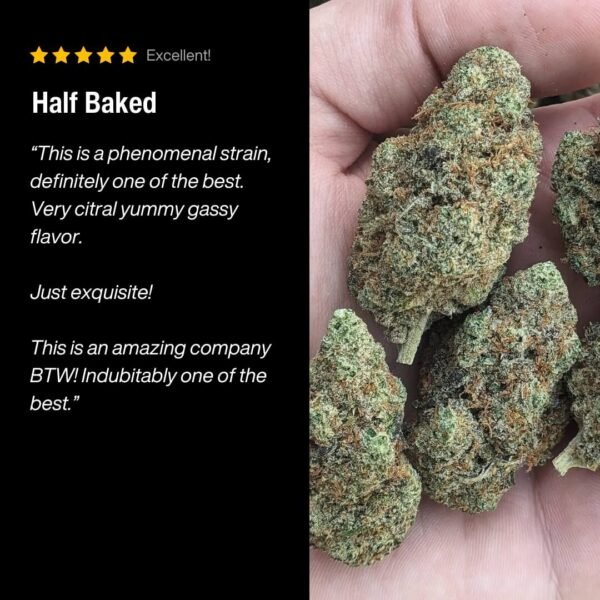 Half Baked Review.jpg