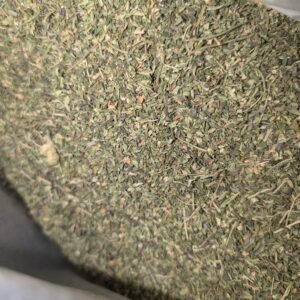 Pxl 20241029 234439911 Scaled 1.jpg