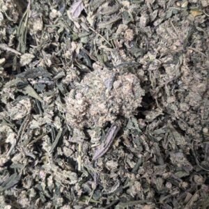 Pxl 20241126 181521233 Scaled 1.jpg