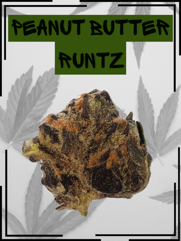 Peanut Butter Runtz Front Bud 2.png