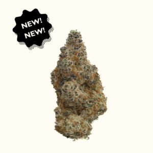 Websiteimages 17 2 Abc014bc C8aa 41de 986b 1d36efc98a92.jpg