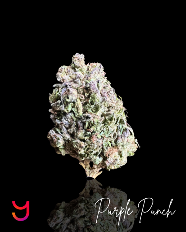 Yaga Farms Purple Punch Thca Cannabis Flower 1.png