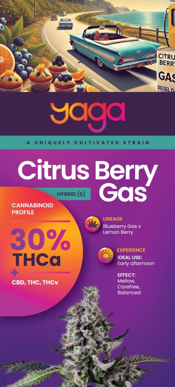 Yaga Farms Rack Card Thca Citrus Berry Back.jpg