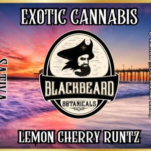 Lemon Cherry Runtz Cover.jpg