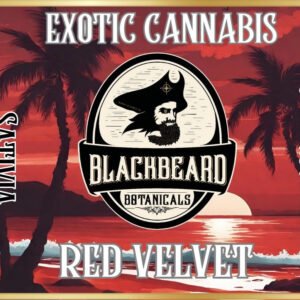 Redvelvetcover.jpg