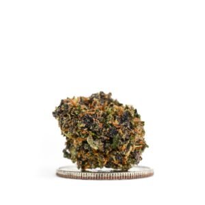 Ef5d611f 4a5d 4a4e 8e18 Dbaa876996f5.jpg