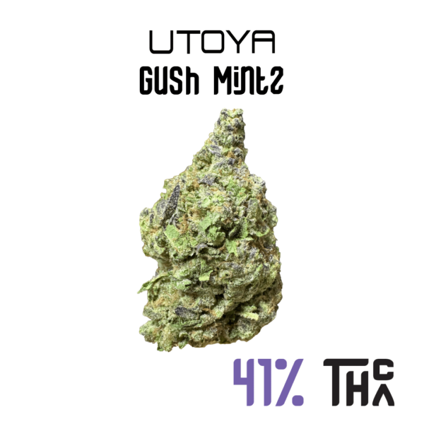 Gush Mintz Thca Flower.png