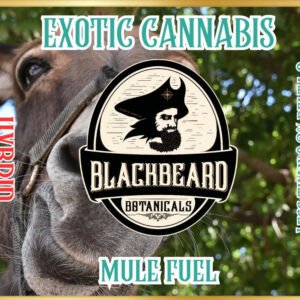 Mulefuelcover.jpg